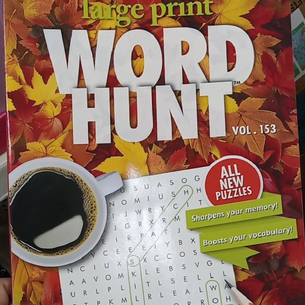 Word Hunt Large Print Puzzle Book   Set Of 3